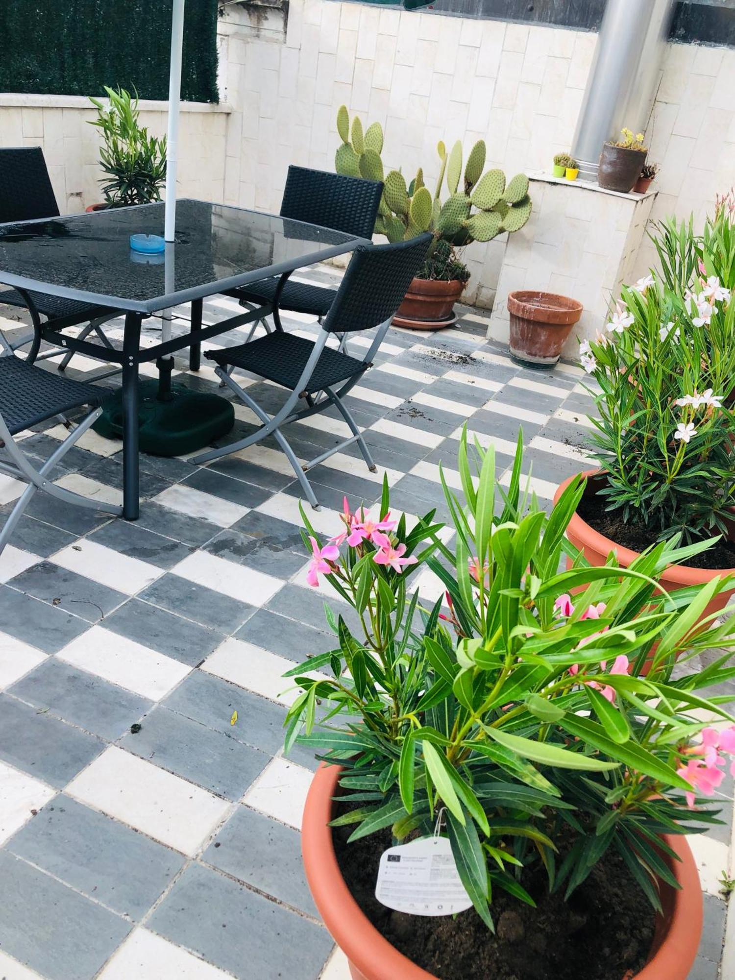 La Terrazza Di Aida Διαμέρισμα Βερόνα Εξωτερικό φωτογραφία